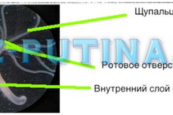 Кракен ссылка на тор официальная онион