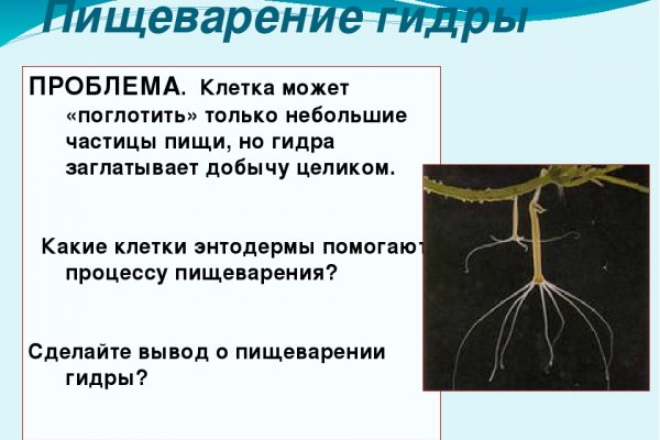 Kraken домен