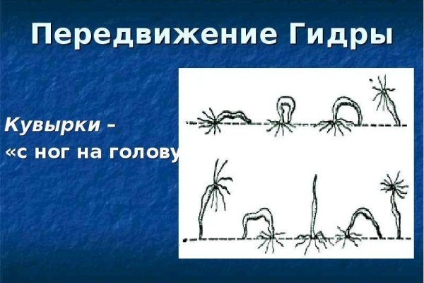 Kraken вывод денег