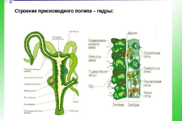 Как вывести деньги с kraken