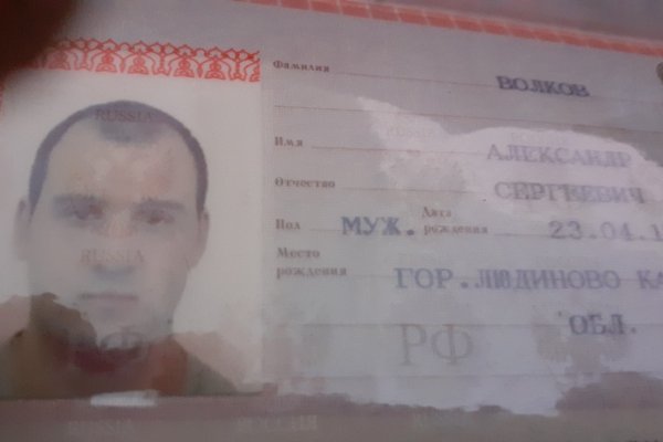 Зайти кракен через тор