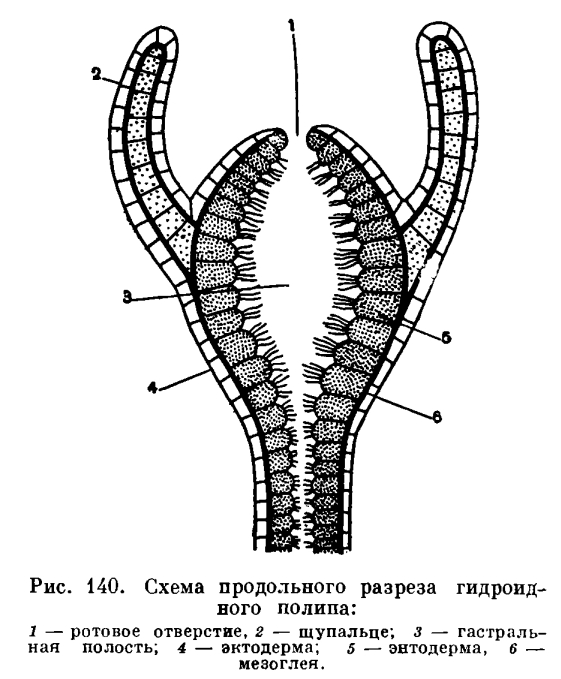 Kraken ссылка на сайт тор